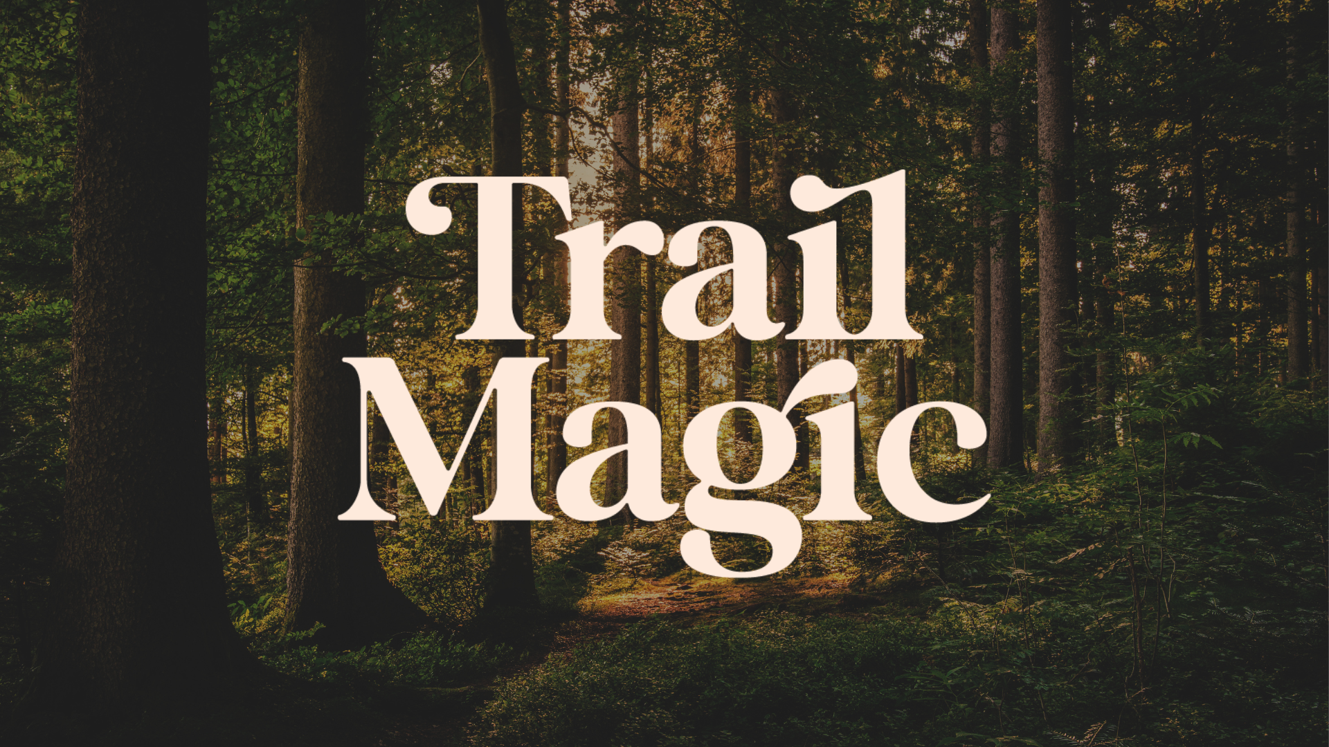 Trail Magic logo